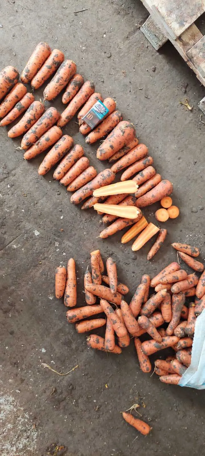 морковь оптом 1 сорт сетевое качество в Симферополе и республике Крым