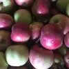 яблоки от производителя оптом в Симферополе