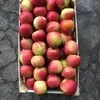  яблоко оптом от производителя, Крым!  в Саки 5