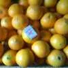 апельсины Абхазские от производителя в Симферополе 2