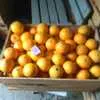 апельсины Абхазские от производителя в Симферополе