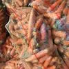 морковь сорта абака, каскад, купар оптом в Симферополе 5