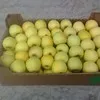 яблоки голден, гренни,симеренко в Симферополе 6