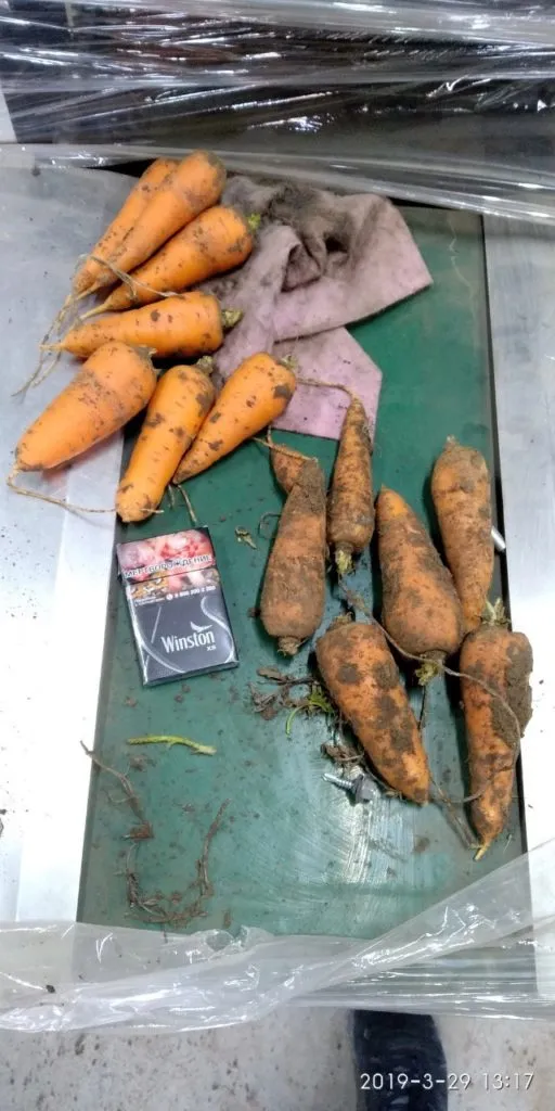 фотография продукта Морковь абака,каскад оптом Крым