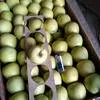 яблоки голден,флорина,пинова,фуджи в Симферополе 4