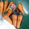 морковь, картофель оптом в Симферополе 3