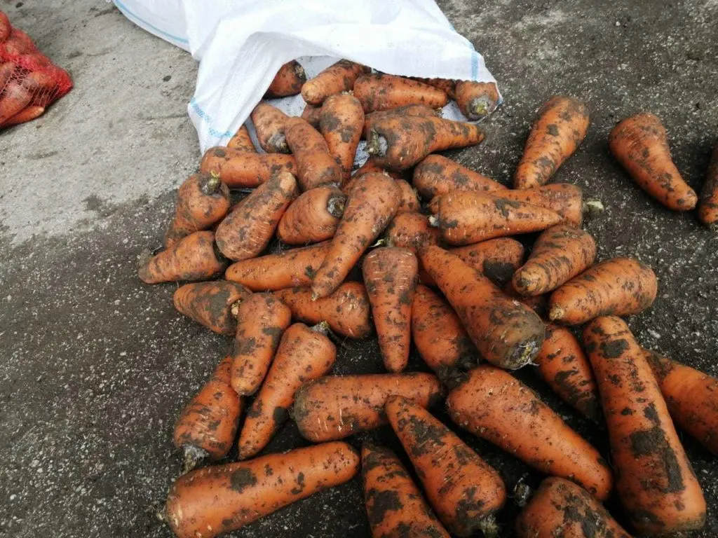 морковь, картофель оптом в Симферополе 5
