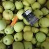 яблоки голден оптом Крым в Симферополе 4