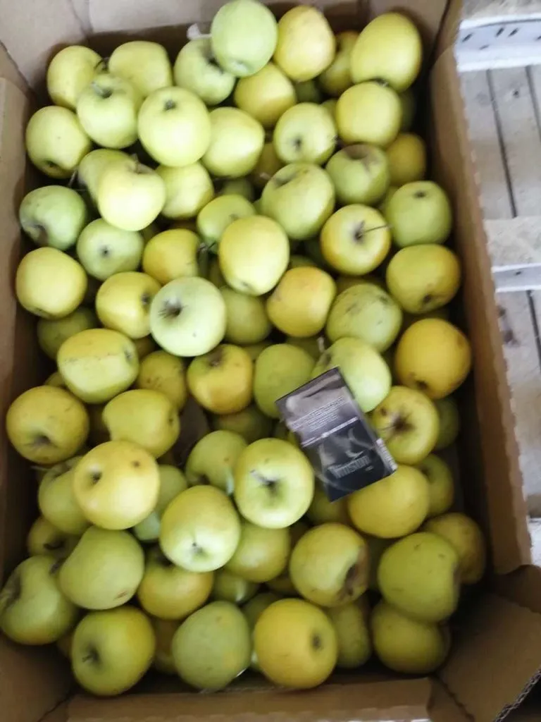 яблоки голден оптом Крым в Симферополе 2