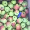 яблоки- боровинка, персики- рэд хевен в Симферополе 2
