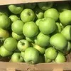 яблоки оптом из Крыма в Симферополе 2