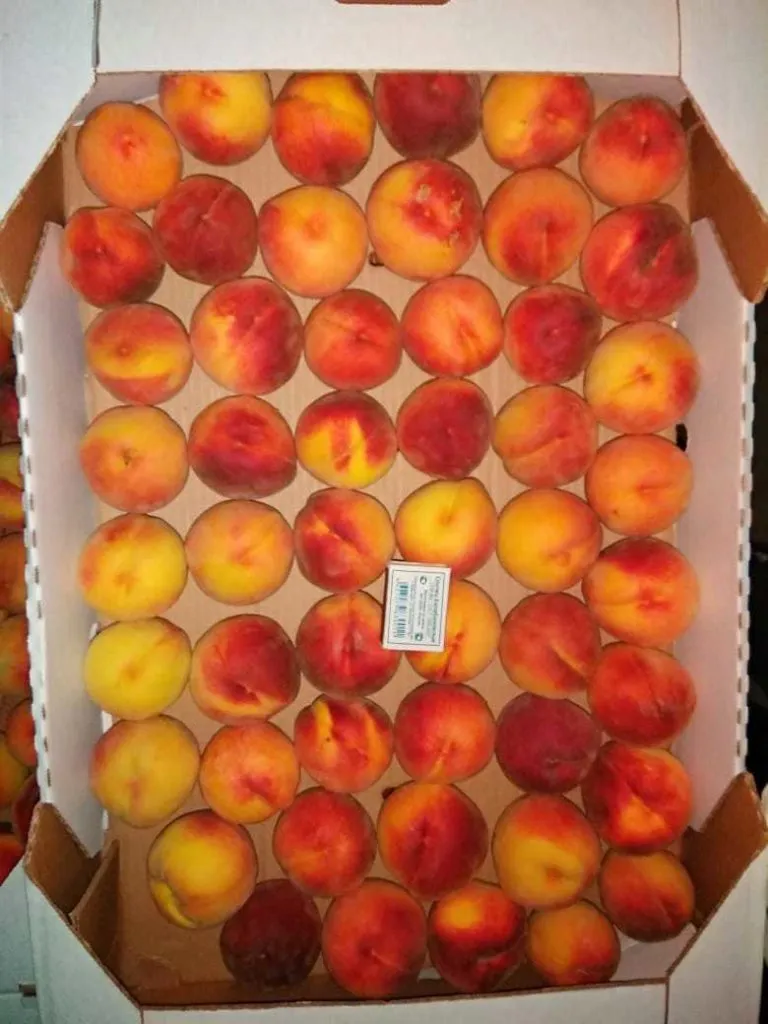 яблоки боровинка, персики ред хевен в Симферополе 2
