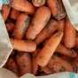 морковь оптом 1 сорт сетевое качество в Симферополе и республике Крым 3
