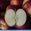 яблоко крымское разных сортов в Симферополе 11