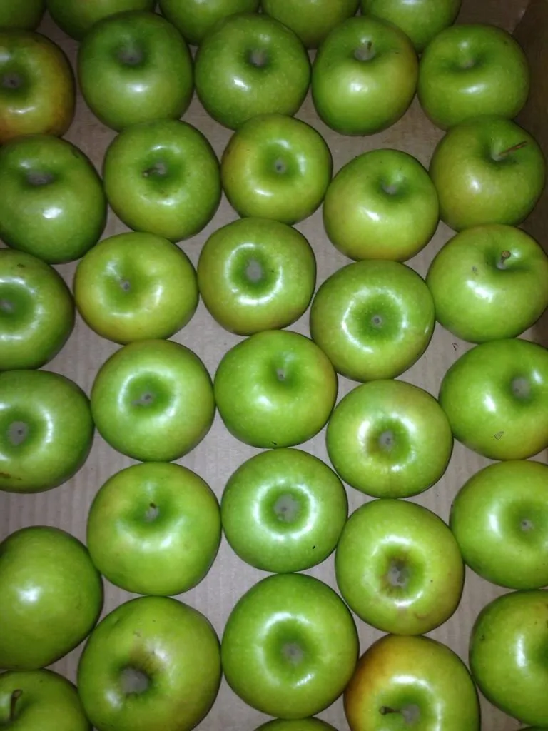 яблоки из крыма 1,2,3 сорт в Белогорске 4