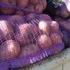 картофель сорт Крона, Аризона, Гала  в Симферополе 3
