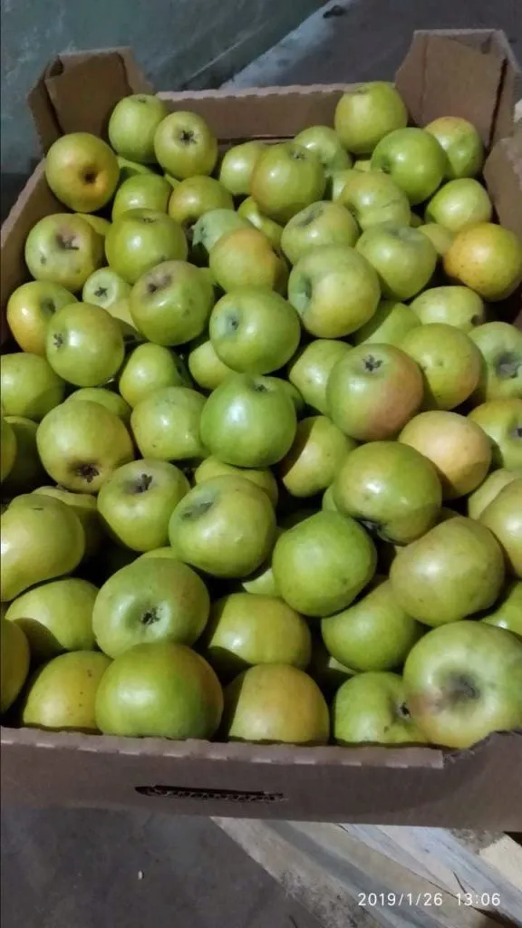 яблоко крымское оптом в Симферополе