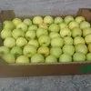 яблоко крымское оптом в Симферополе 4