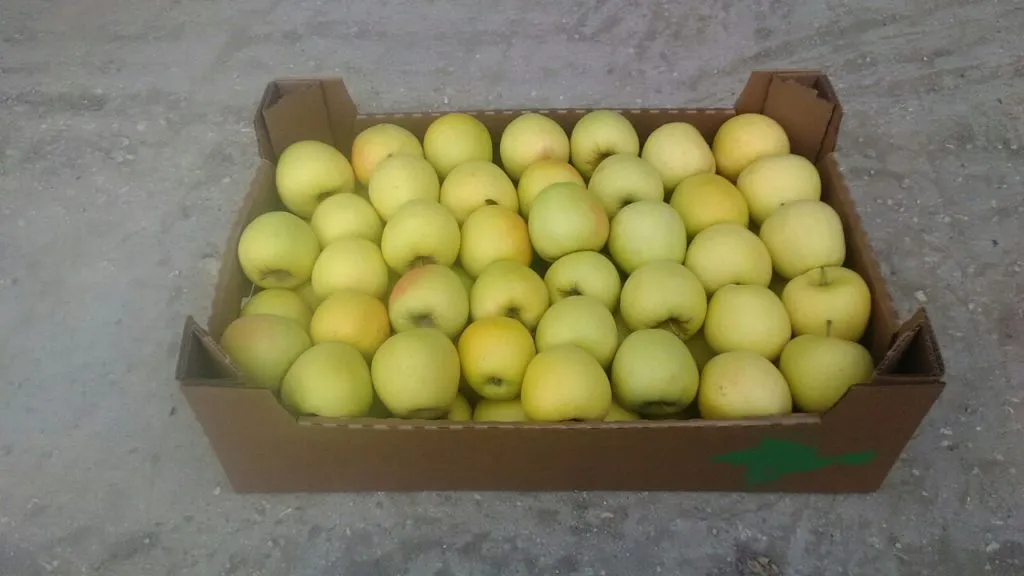яблоко крымское оптом в Симферополе 2