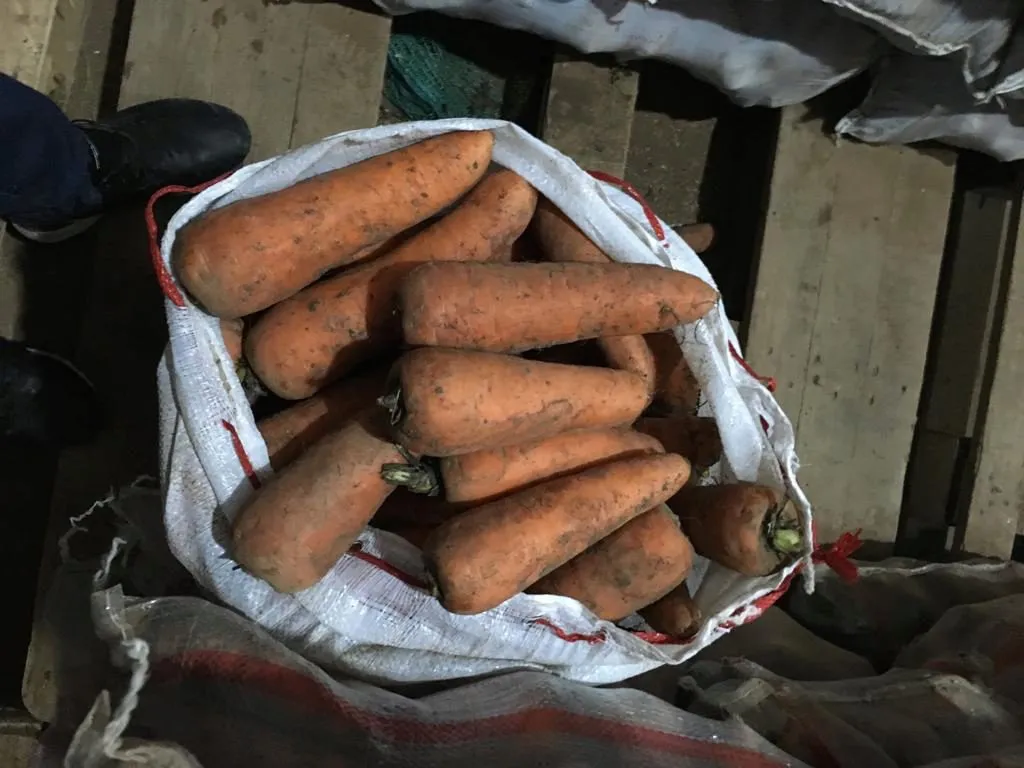 морковь сорт каскад, купар оптом в Белогорске 3