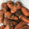 морковь, сорт каскад, абака, Крым в Симферополе 3