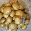 картофель разных сортов в Симферополе
