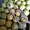 яблоки голден, гренни, симеренко,айдаред в Симферополе 4