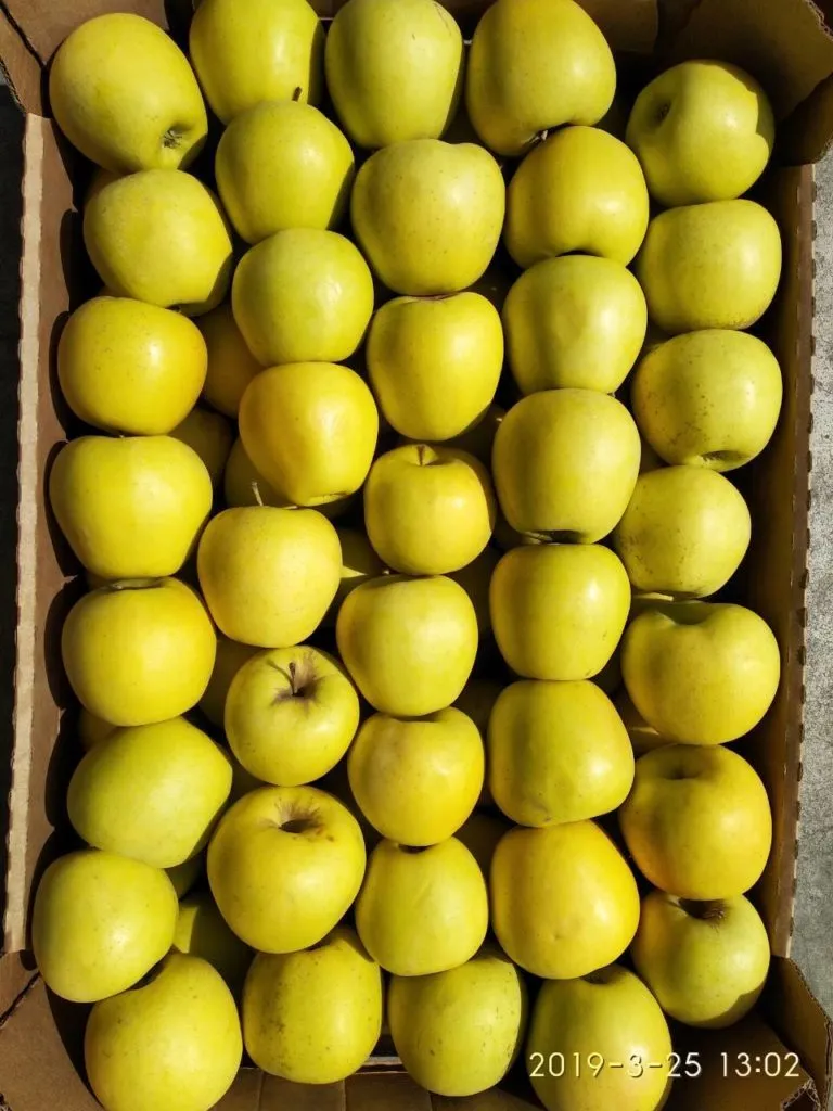 яблоки голден,кубанское,пинова,флорина в Симферополе 4