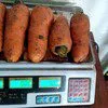 морковь, сорт абака, каскад оптом Крым в Симферополе 7