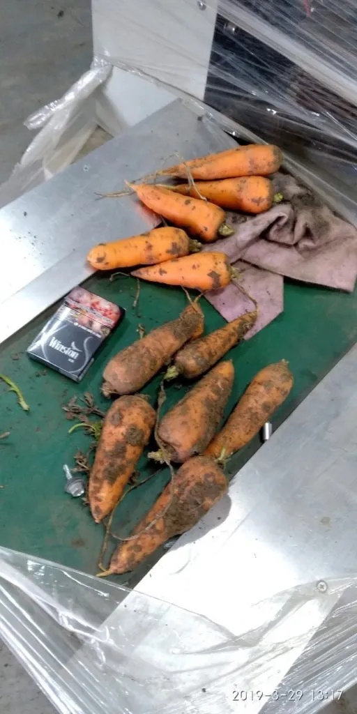 морковь сорт абака,каскад Крым в Симферополе 2