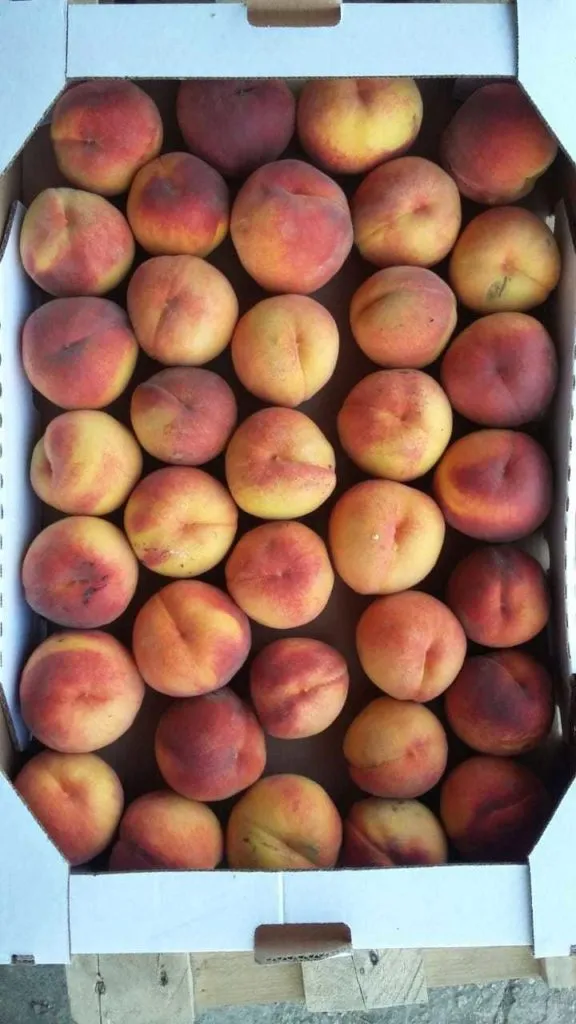 яблоки, персики, виноград в Симферополе 4