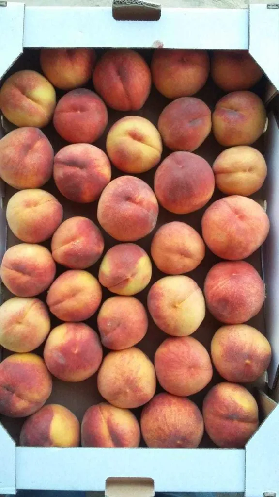 яблоки, персики, виноград в Симферополе 7