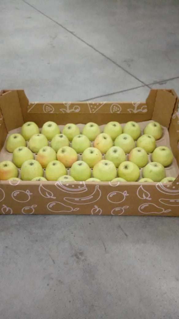 свежие местные яблоки в Феодосии 3